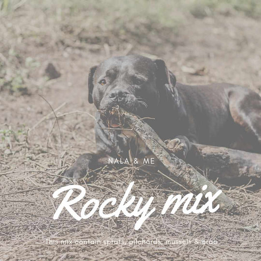 The Rocky Mix